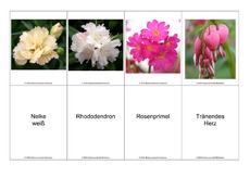 Blumen-Memo-Aufdeckspiel-18.pdf